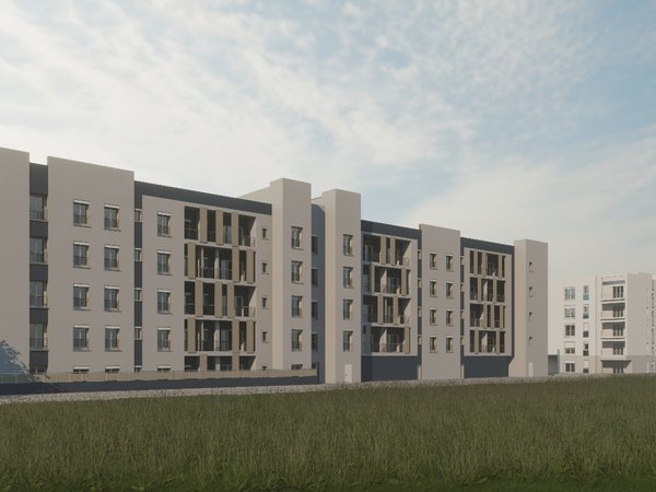 Render dell'intervento