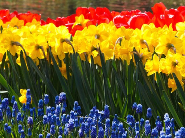 1° EDIZIONE DEL CONCORSO "BALCONI E GIARDINI FIORITI"